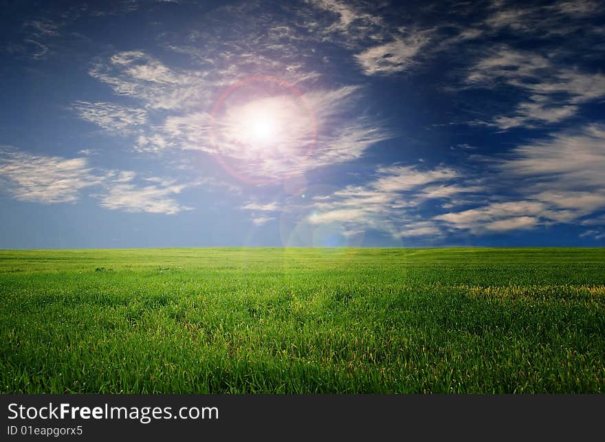 Grass field and blue sky