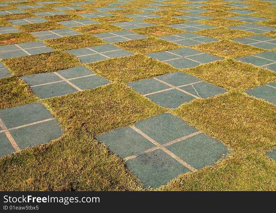 Square grid ground in the garden