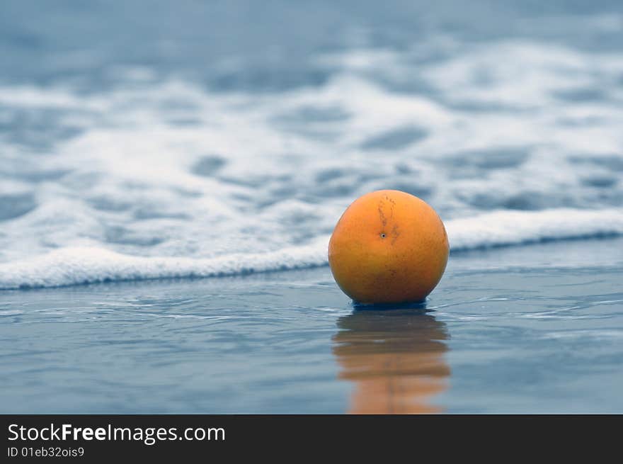 Orange on an ocean coast