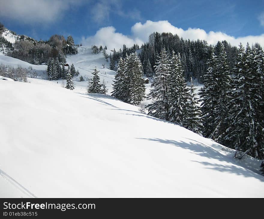 View from a chairlift