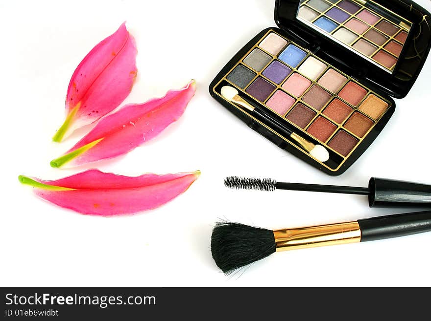 Decorative cosmetics for drawing a make-up. Decorative cosmetics for drawing a make-up