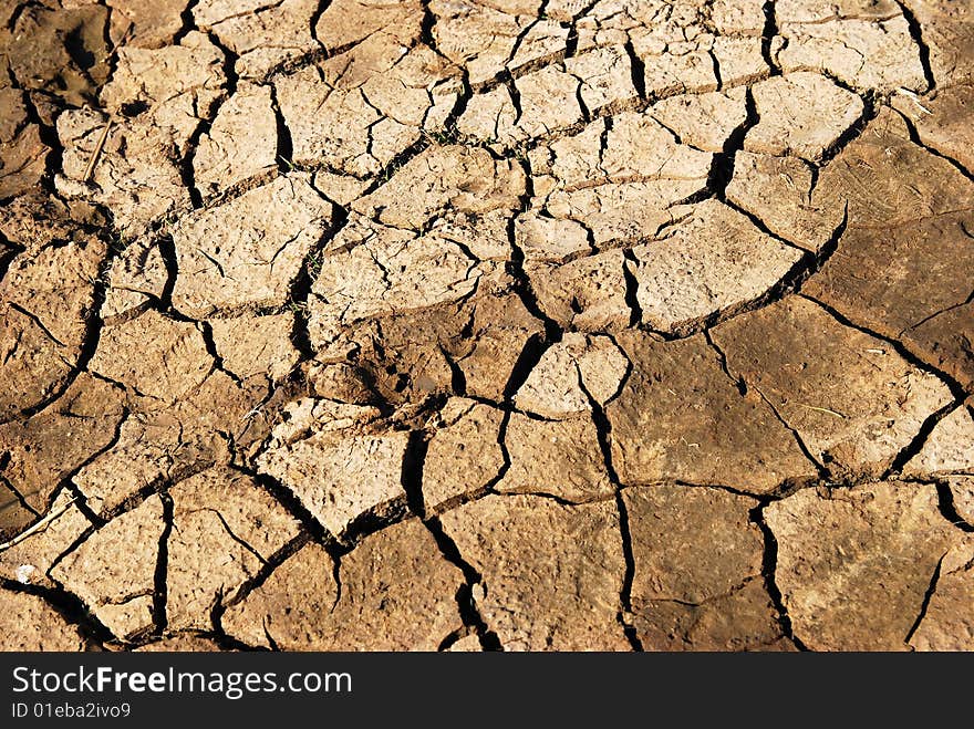 Dry soil on the bank of the river early in the morning in the park. Dry soil on the bank of the river early in the morning in the park