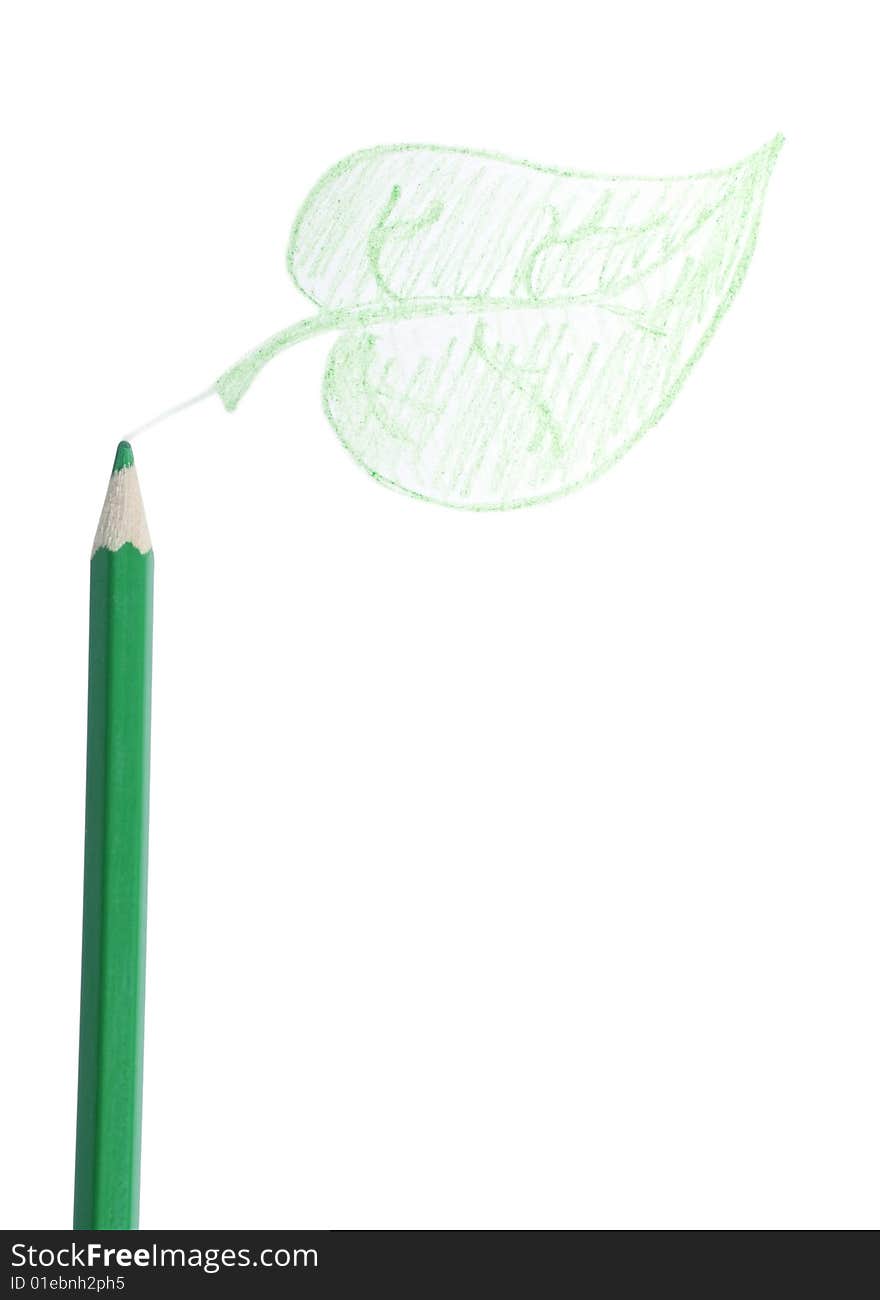 Green pencil, the leaf