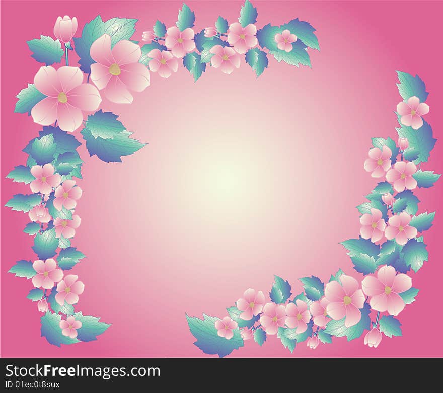 Pink floral frame