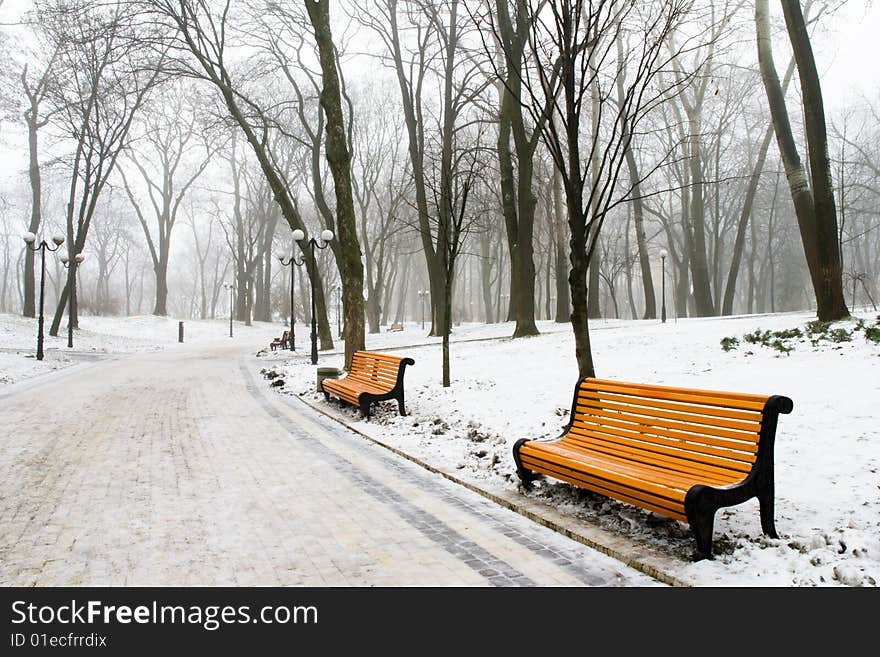 Winter day in the square