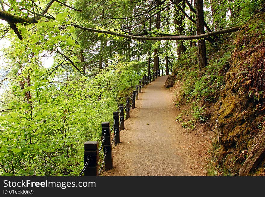 Trail In Spring Park