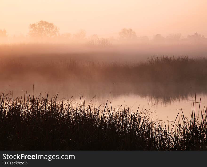 Sunrise through mist at a small pond. Sunrise through mist at a small pond.