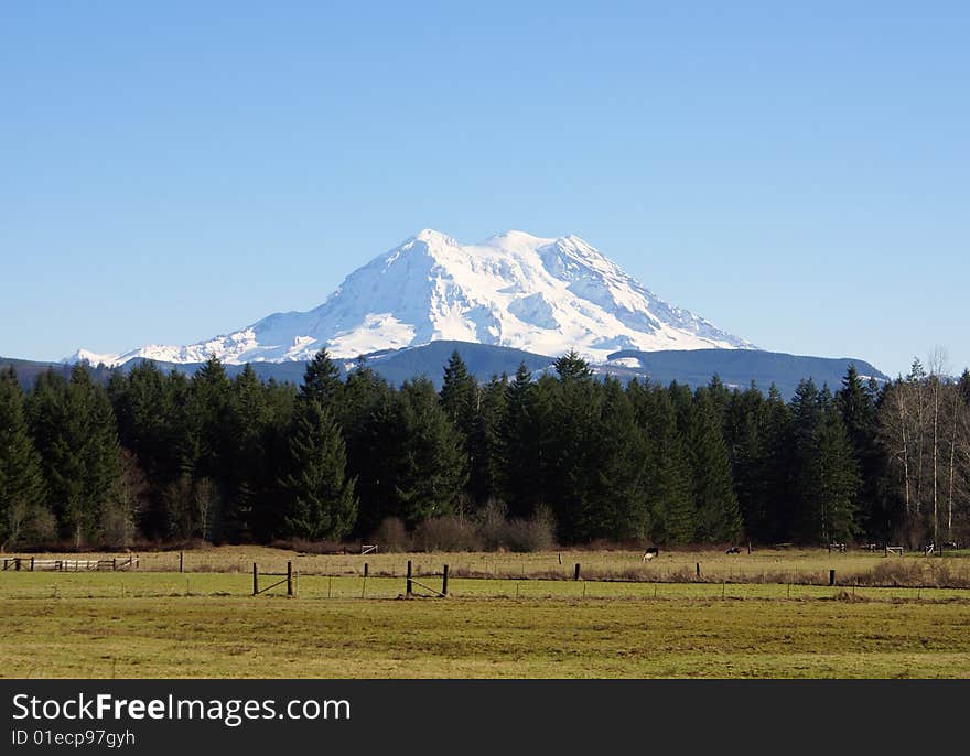 Mt Rainier