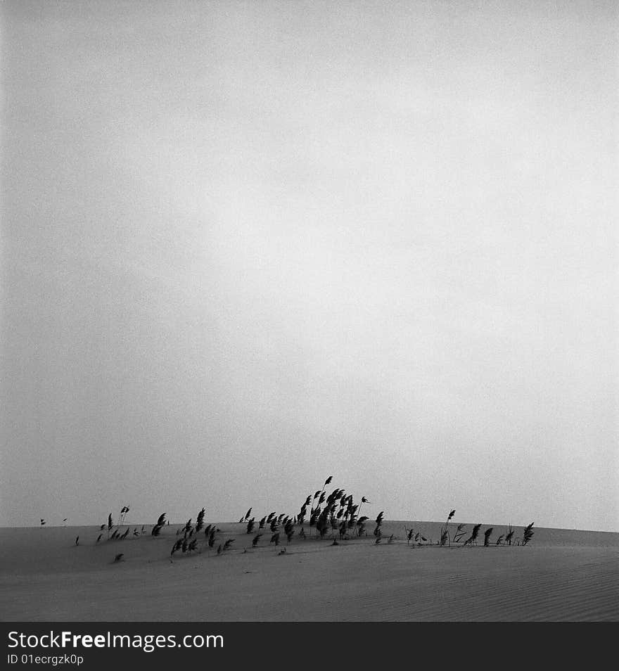 Taken at China's east coast area in winter. It was very cold that day, and I only shot a few frames with my Rollei 2.8F. My 4x5 Linhof never left my camera bag. Taken at China's east coast area in winter. It was very cold that day, and I only shot a few frames with my Rollei 2.8F. My 4x5 Linhof never left my camera bag.