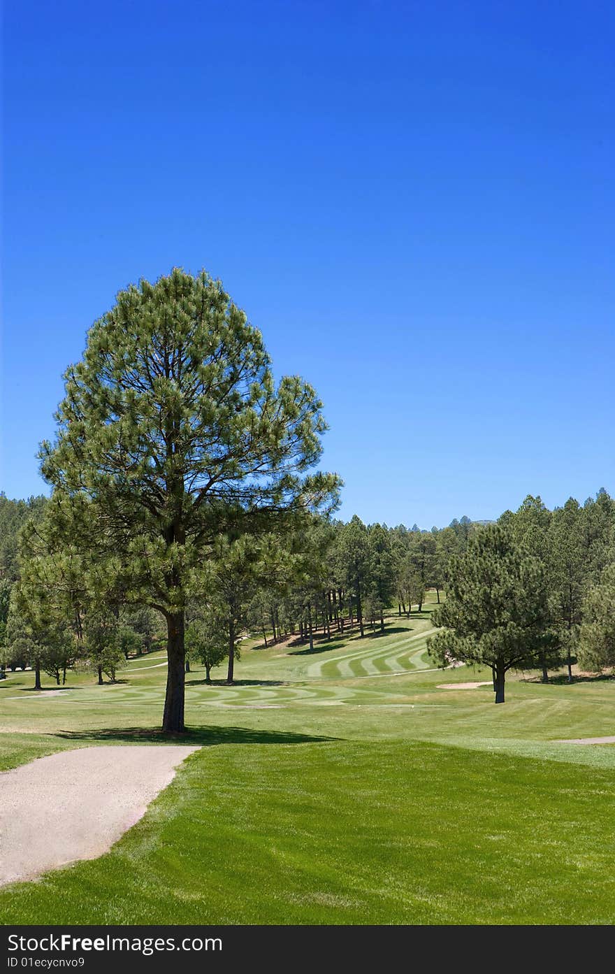 An image of a lush Arizona golf course