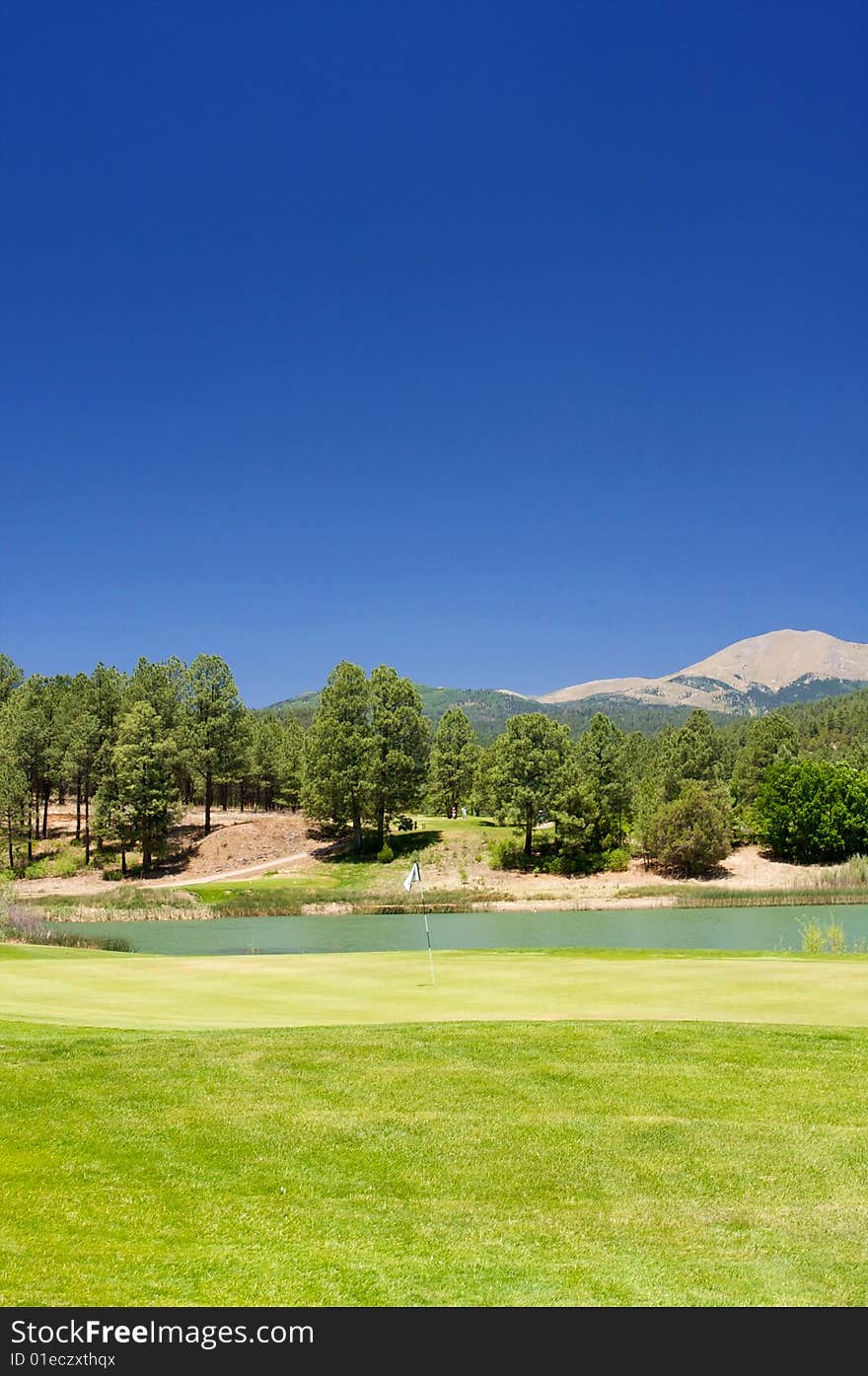 An image of a golf hole with a large tree nearby. An image of a golf hole with a large tree nearby