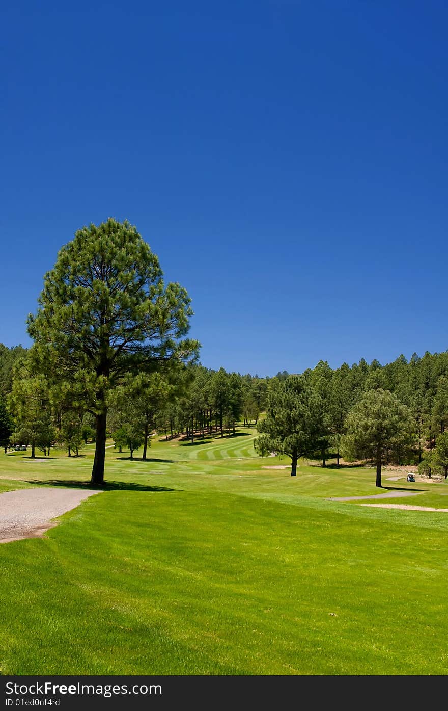 An image of large lush trees spread throughout an Arizona golf course. An image of large lush trees spread throughout an Arizona golf course