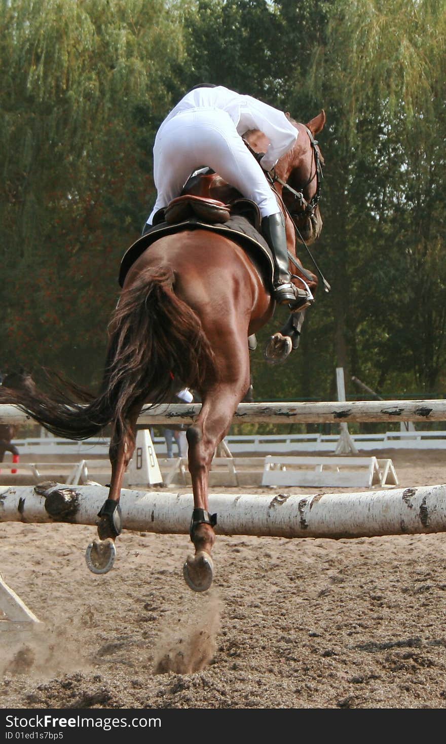 Equestrian sportsman on horse jumping over barrier. Equestrian sportsman on horse jumping over barrier