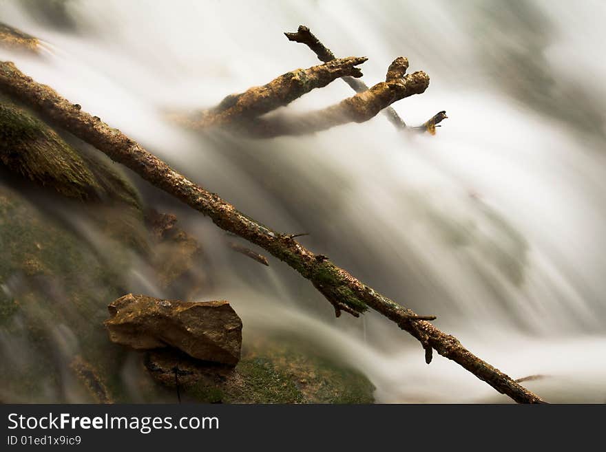 Spring flows under hidden forest. Spring flows under hidden forest