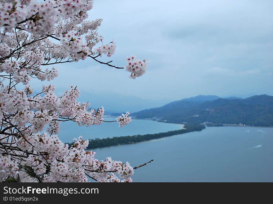 Amanohashidate, one of the three great views of Japan, known for its dragon-shaped shoreline when viewed upside down