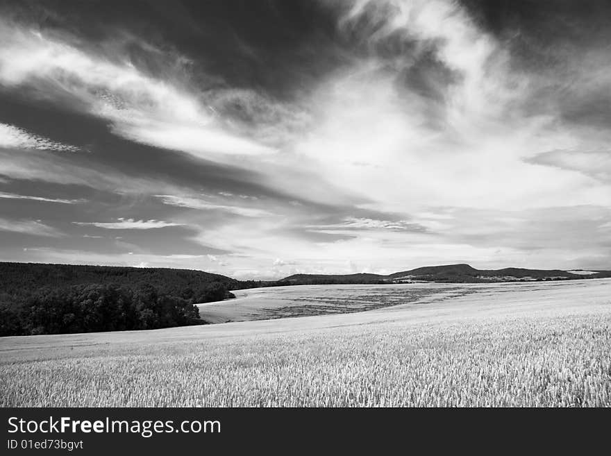 Field landscape, monochrome fine art. Field landscape, monochrome fine art