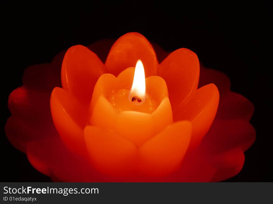 Three orange burning flower shape candles on dark background. Three orange burning flower shape candles on dark background