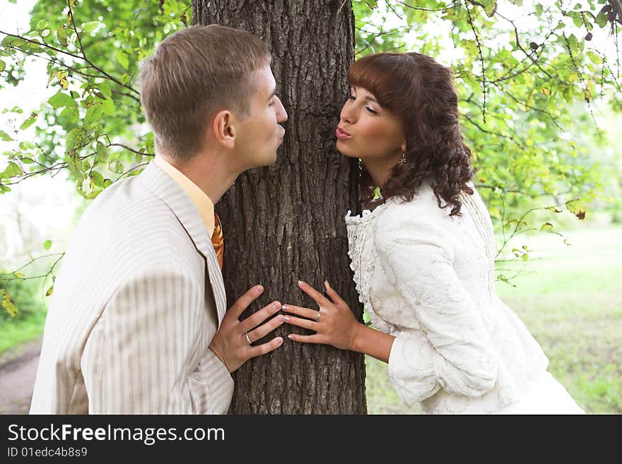 The newlyweds walking in park after the wedding. The newlyweds walking in park after the wedding