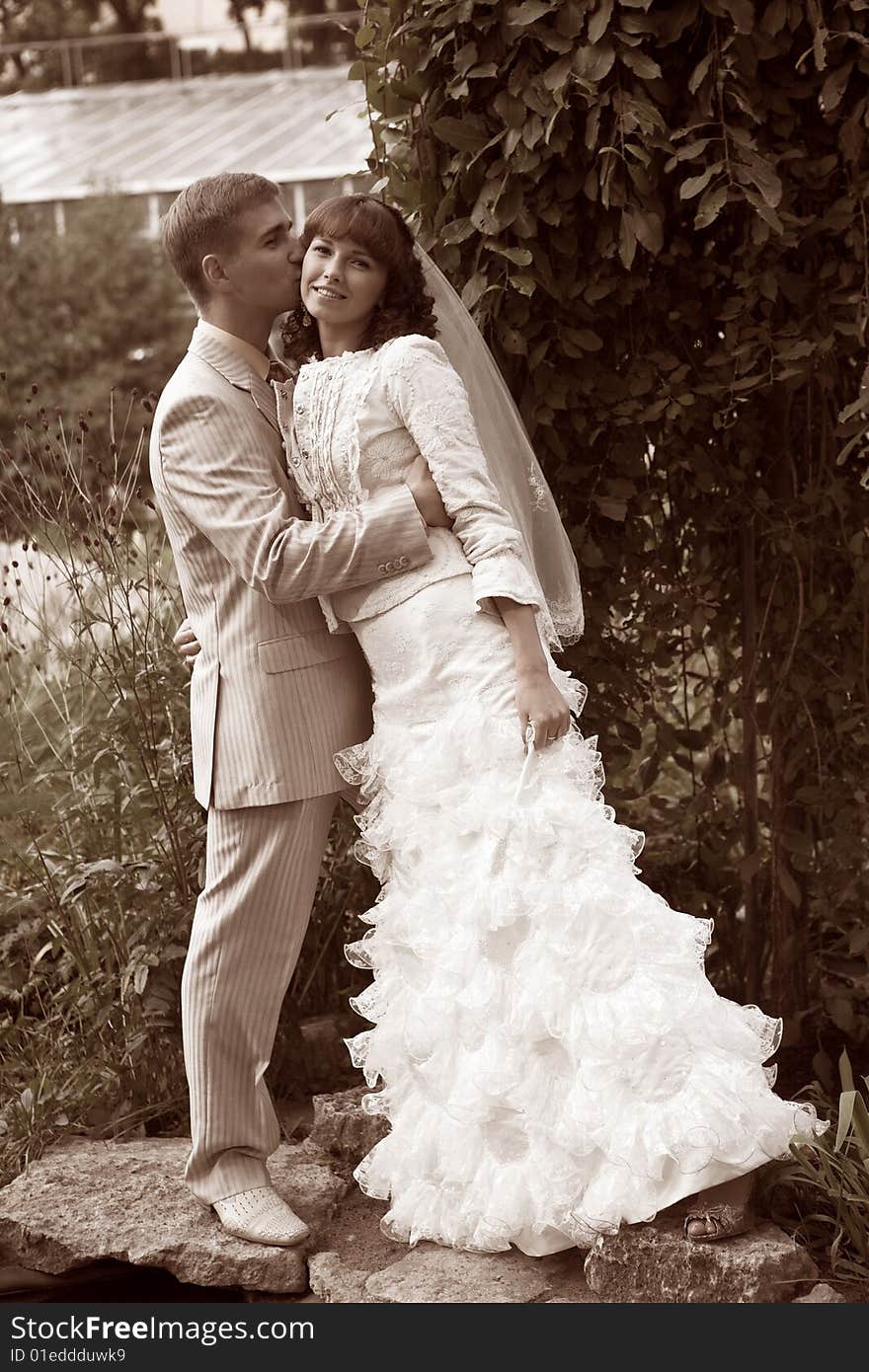 The newlyweds walking in park after the wedding. The newlyweds walking in park after the wedding