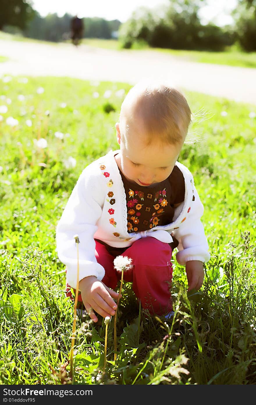 Portrait of a cute child picking a dandelion in sunny summer day