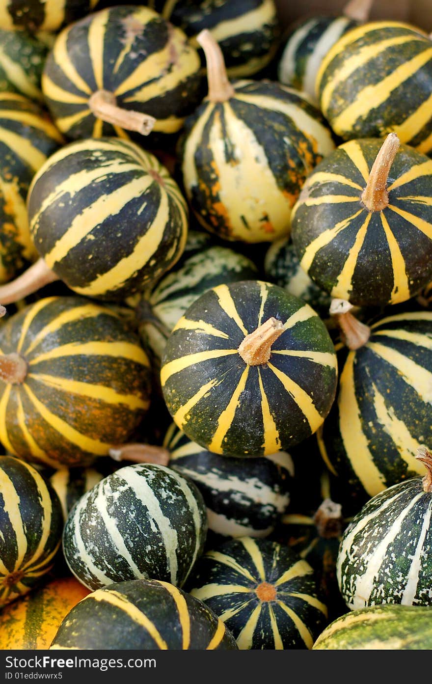 Background From Small Pumpkins