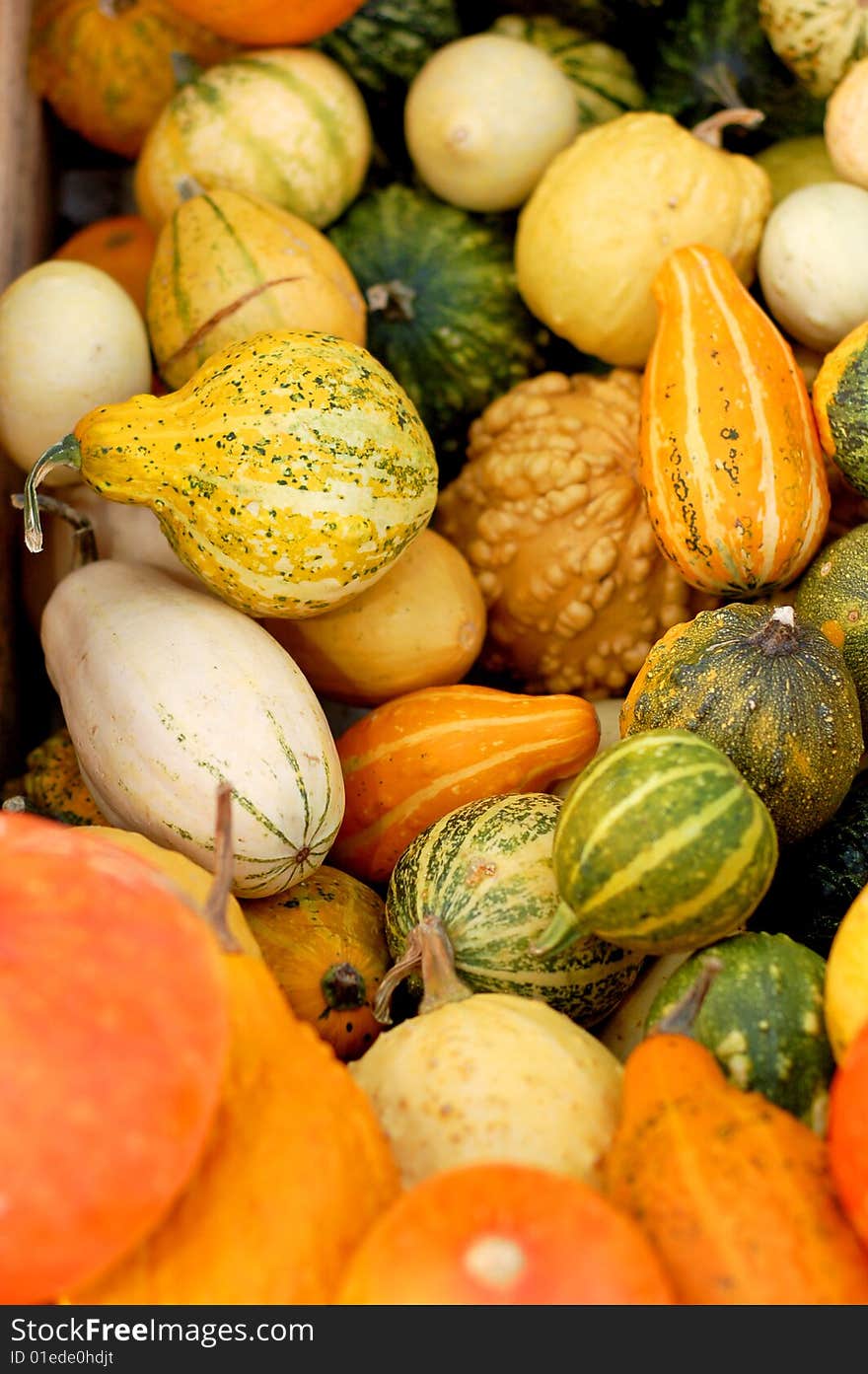 Background From Small Pumpkins