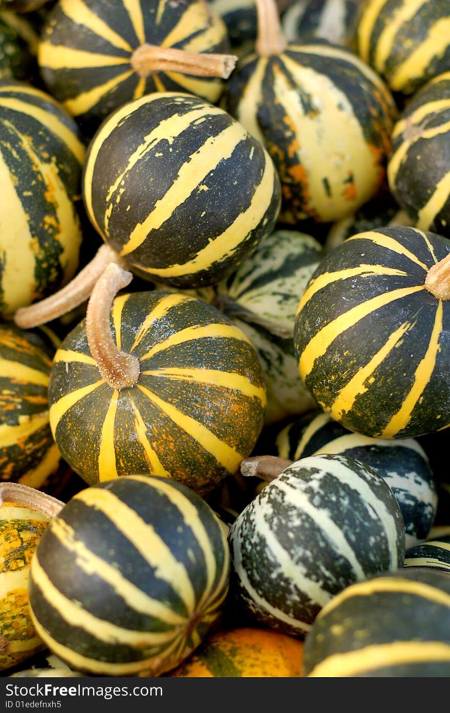 Background From Small Pumpkins