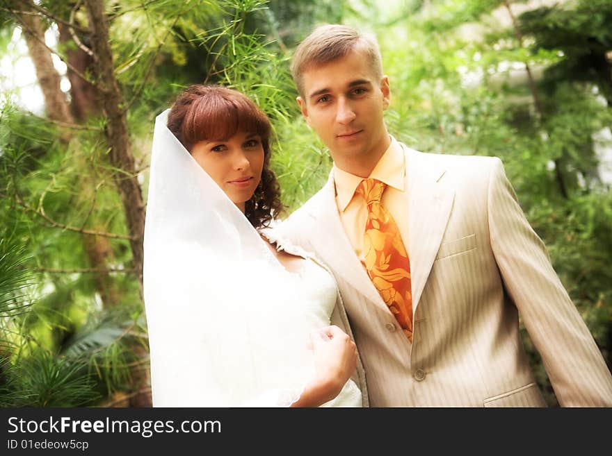 The newlyweds walking in park after the wedding. The newlyweds walking in park after the wedding