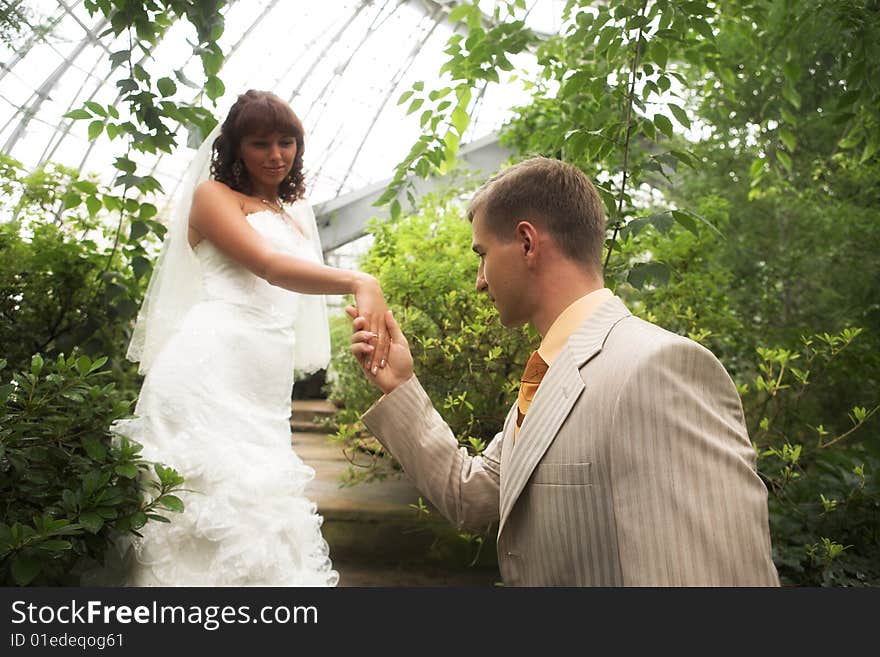 The newlyweds walking in park after the wedding. The newlyweds walking in park after the wedding