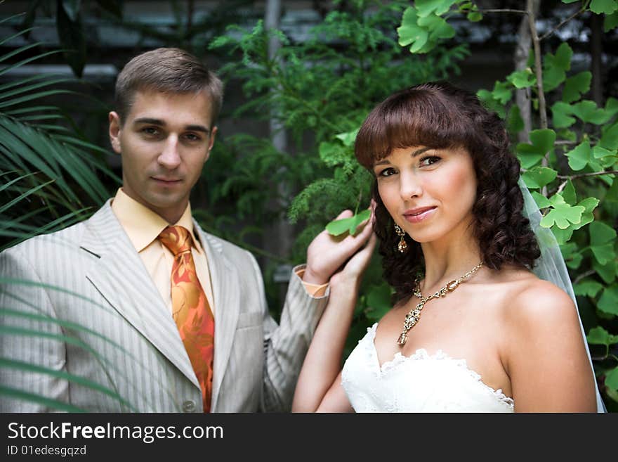 The newlyweds walking in park after the wedding. The newlyweds walking in park after the wedding