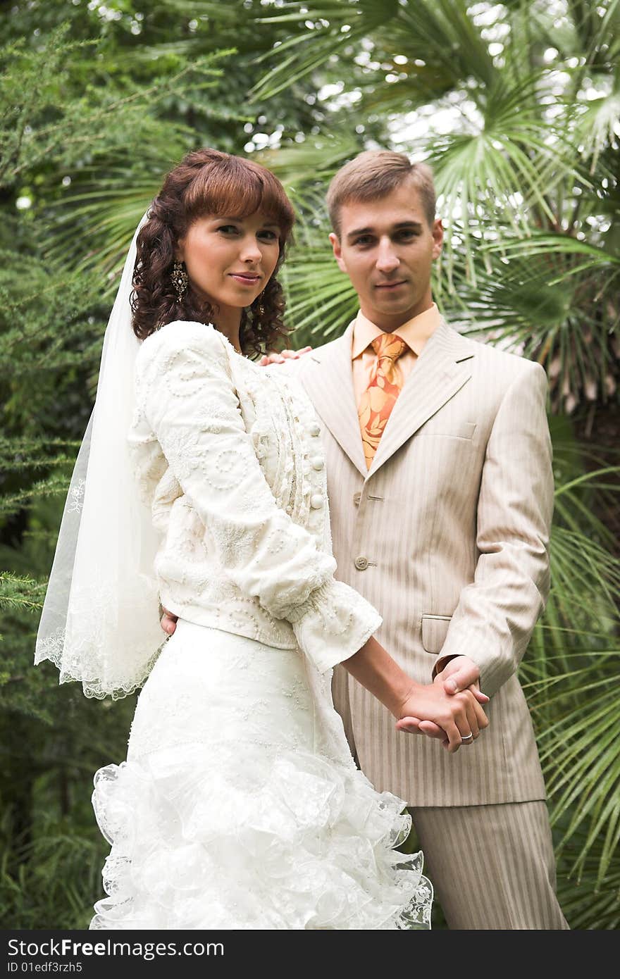 The newlyweds walking in park after the wedding. The newlyweds walking in park after the wedding