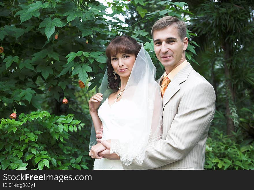 The newlyweds walking in park after the wedding. The newlyweds walking in park after the wedding