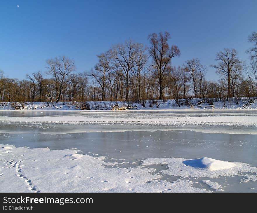 Winter landscape