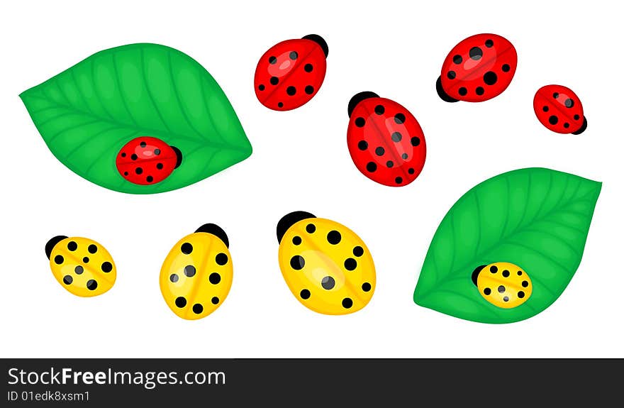 Vector illustration of red and yellow ladybirds