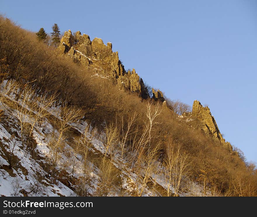 Winter landscape