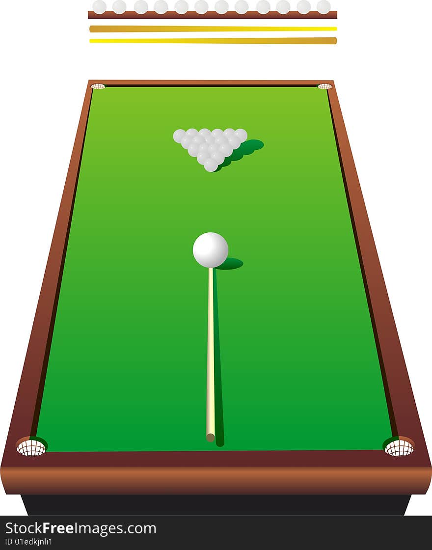 Scene of the billiard table with cue and ball