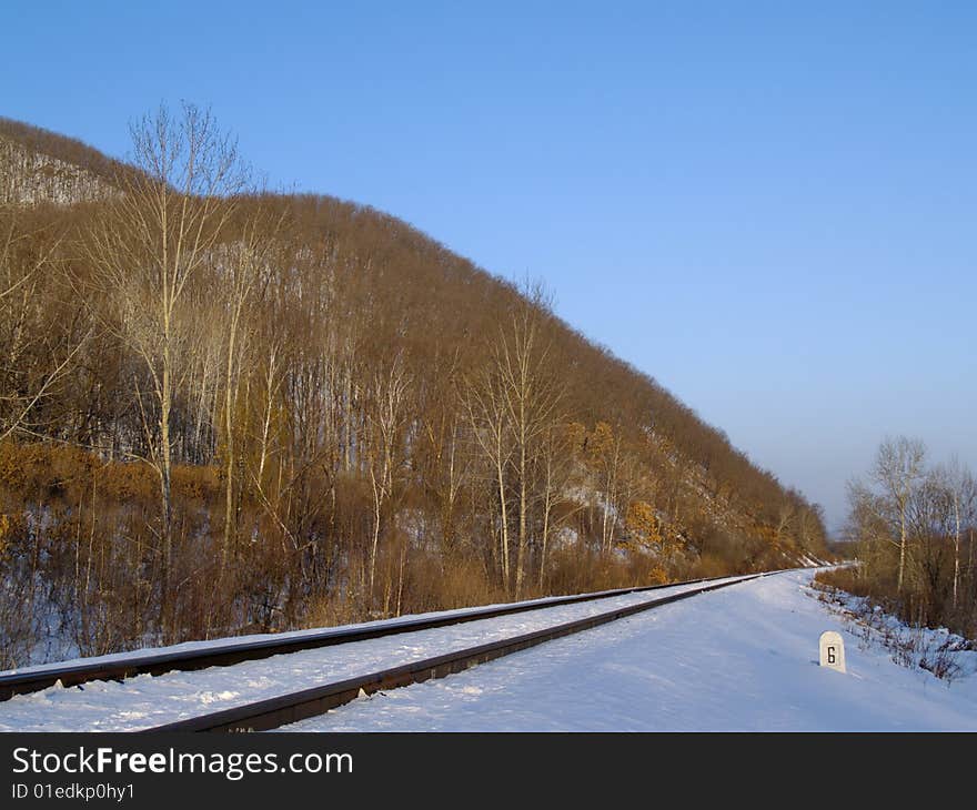 Winter landscape