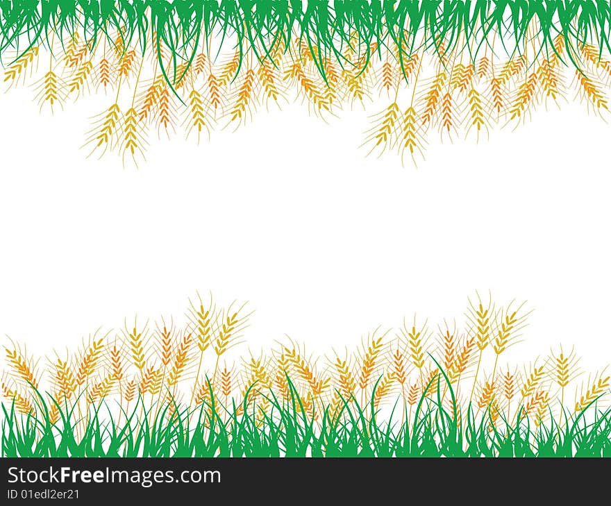 A cool detail of crops and grass designed by illustration. A cool detail of crops and grass designed by illustration