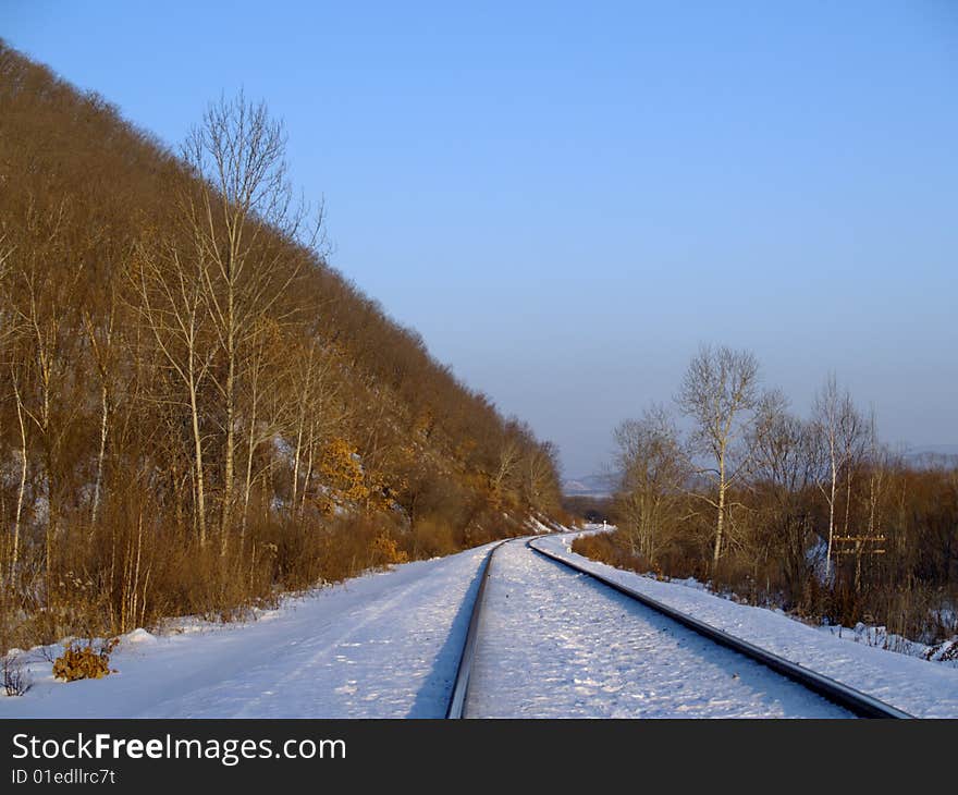 Winter landscape