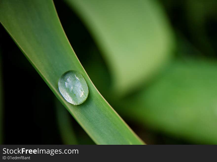 Water drop