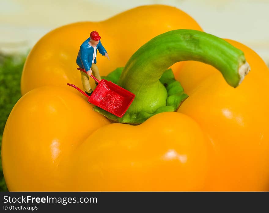 Workman On Yellow Pepper