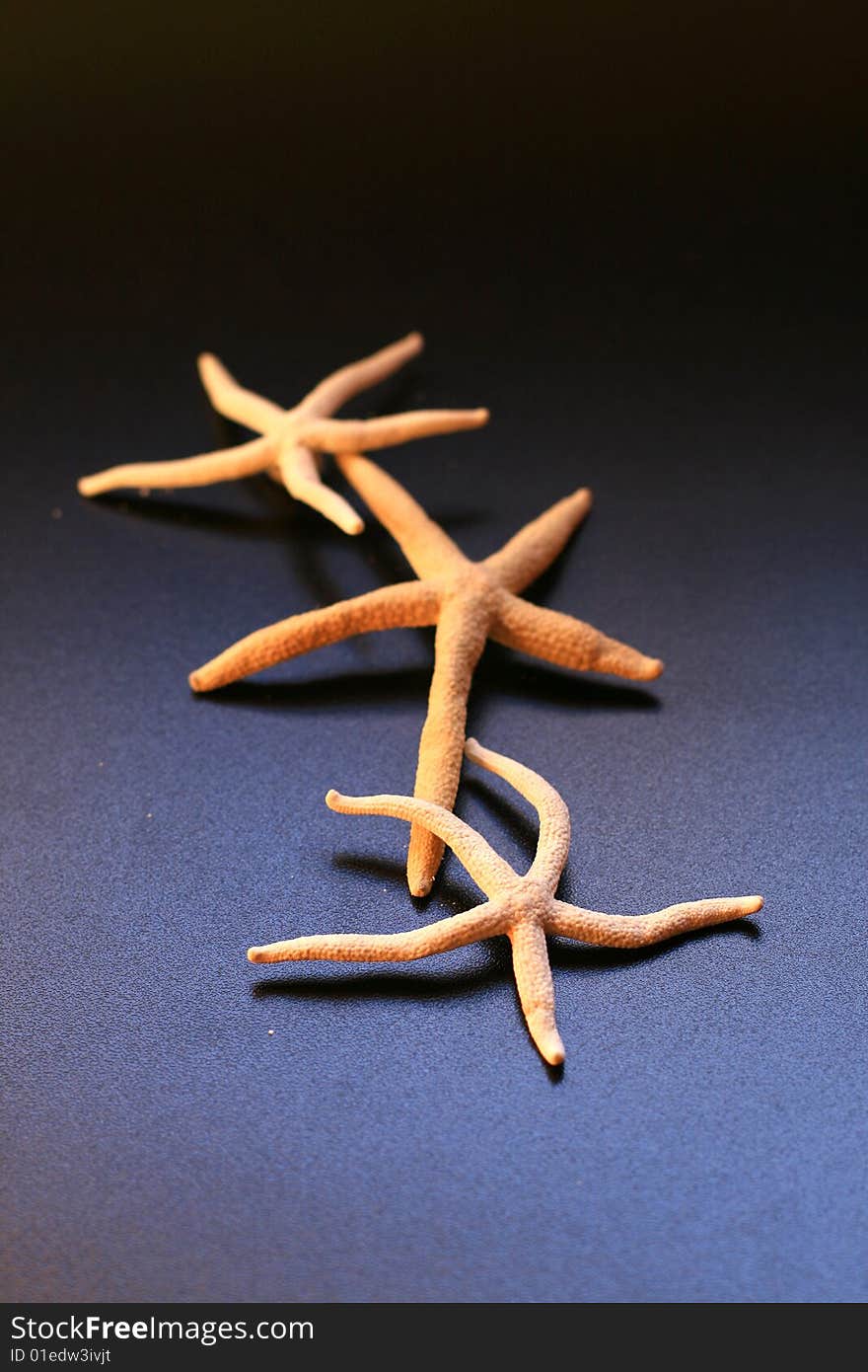 Three starfishes on a black background. Three starfishes on a black background