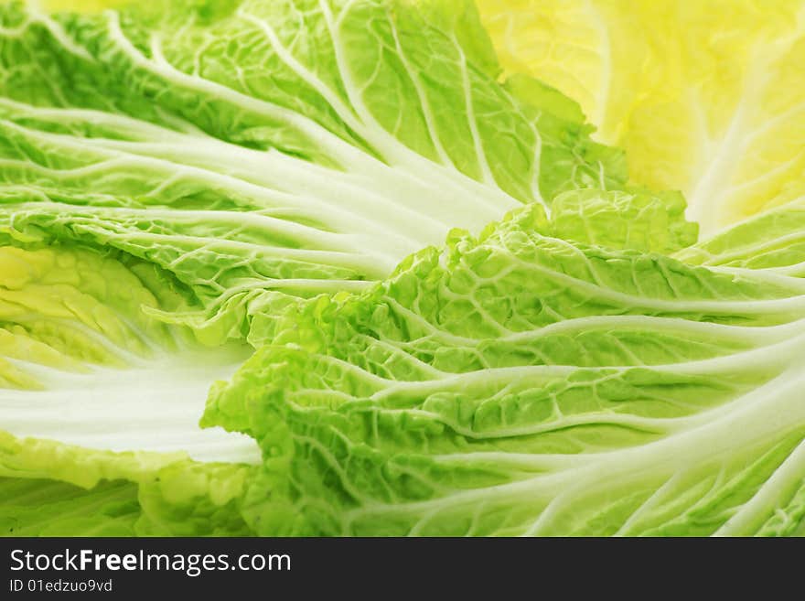 Lettuce background