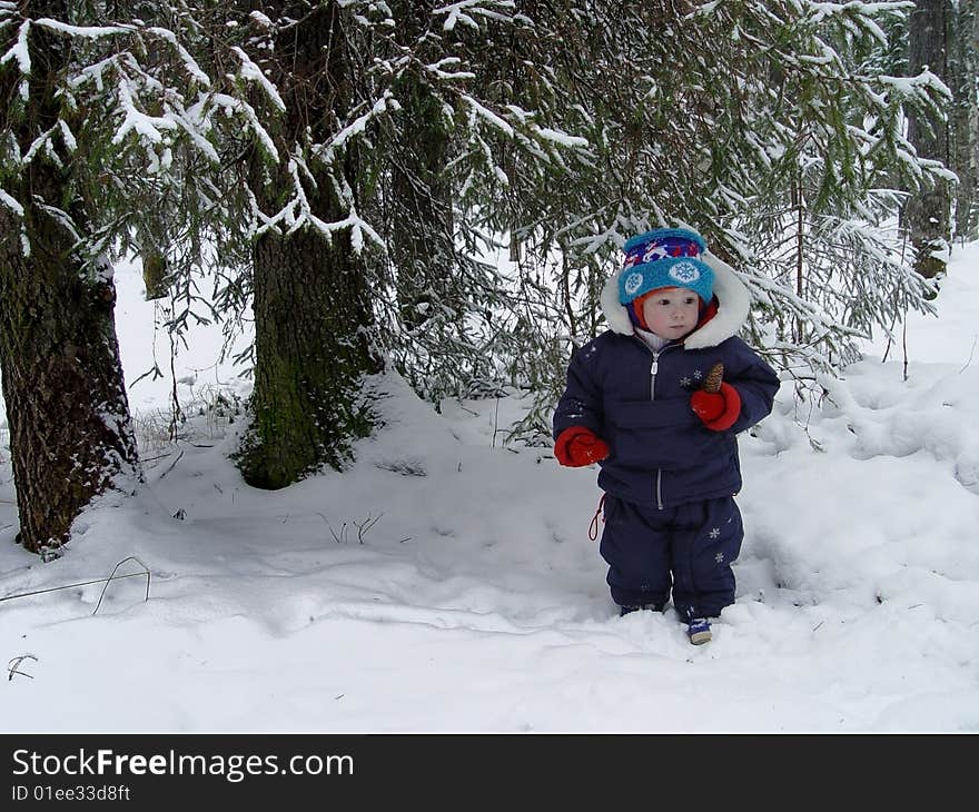 The child under a fur-tree in a winter wood