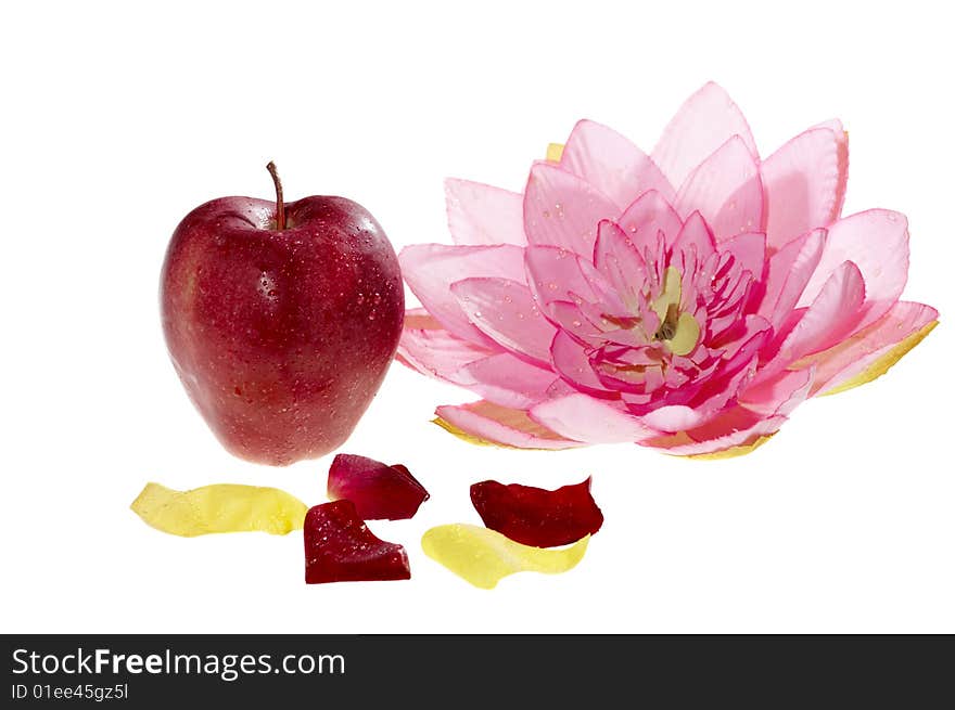 Apple and flower isolated on the white background