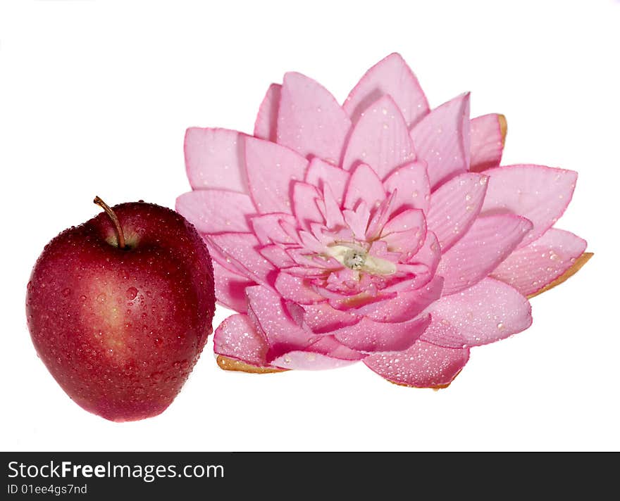 Apple and flower isolated on the white background