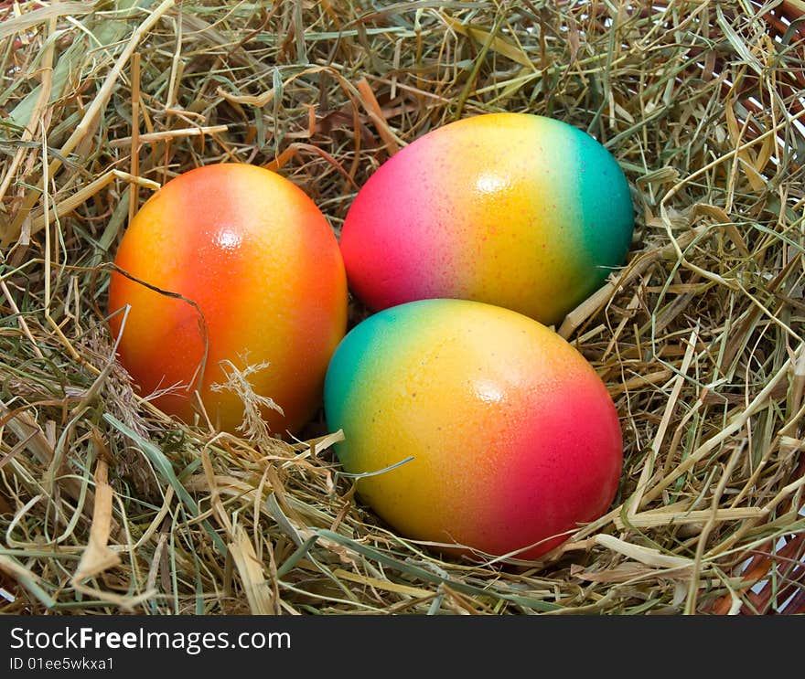 Colored Easter eggs in the nest isolated.