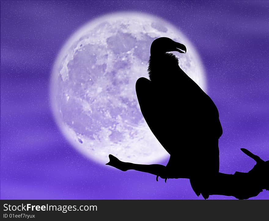 Eagle silhouette in the moon and in the night. Eagle silhouette in the moon and in the night