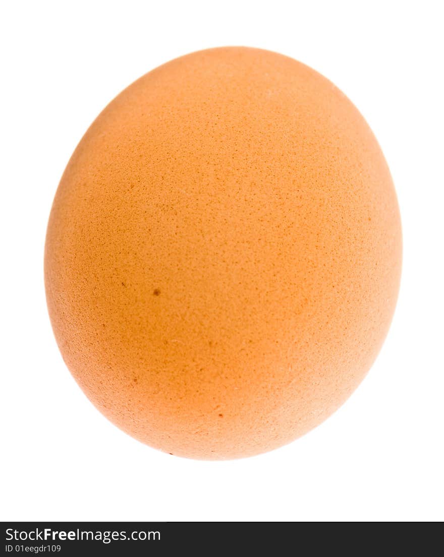 Chicken egg, macro