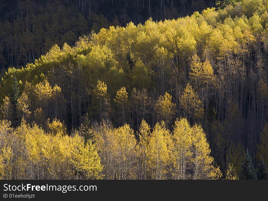 Autumn image at Red Mountain Pass. Autumn image at Red Mountain Pass